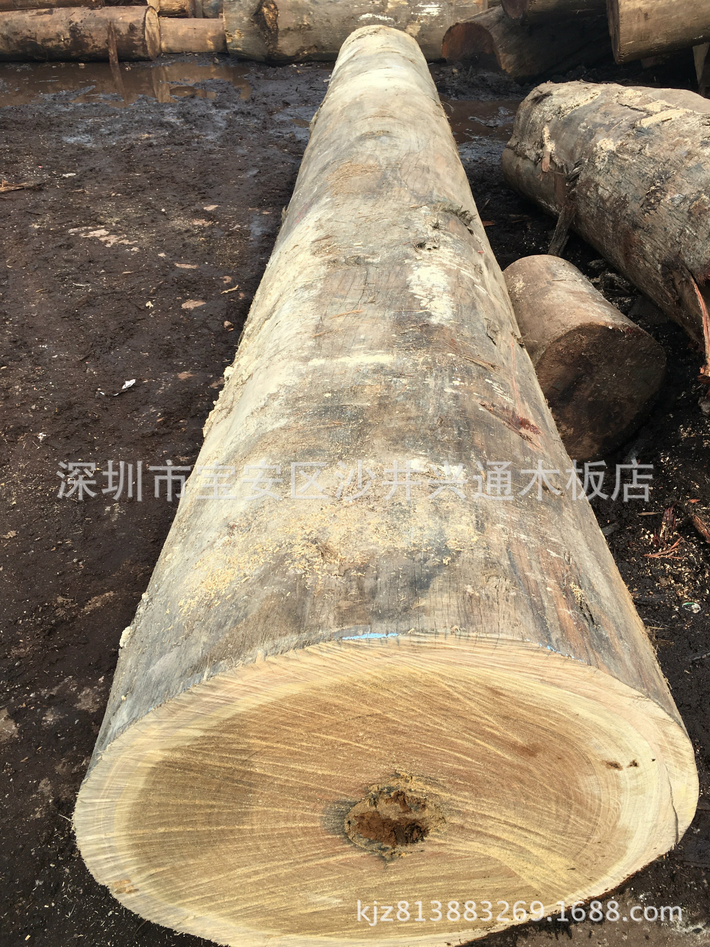 巴劳木(梢木) 黄巴劳船木专用料-阿里巴巴