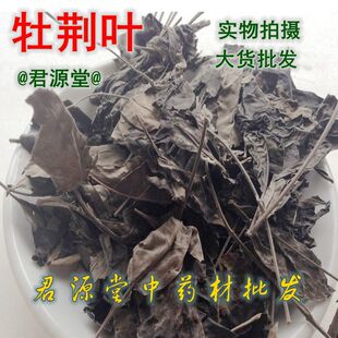 ��ș�� ĵ�G�~  �S�����~�S�G���~