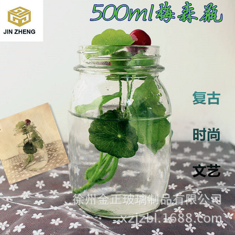 厂家批发500ml透明玻璃梅森瓶家居摆件玻璃饮料瓶水培瓶