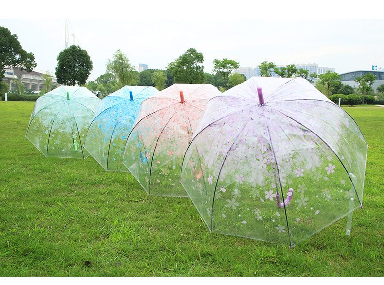 批发采购雨伞-樱花唯美透明长柄伞 创意环保P