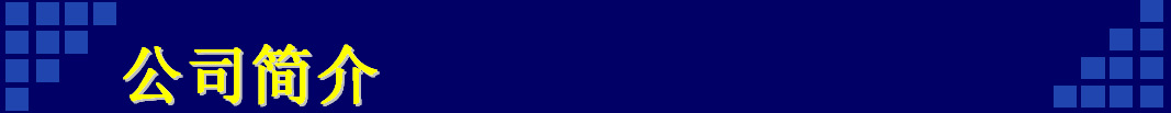 公司简介11111