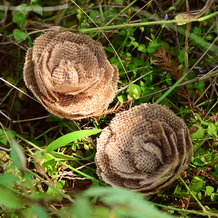 TB21Y1caE_C11Bjy1zeXXXtGpXa_!!