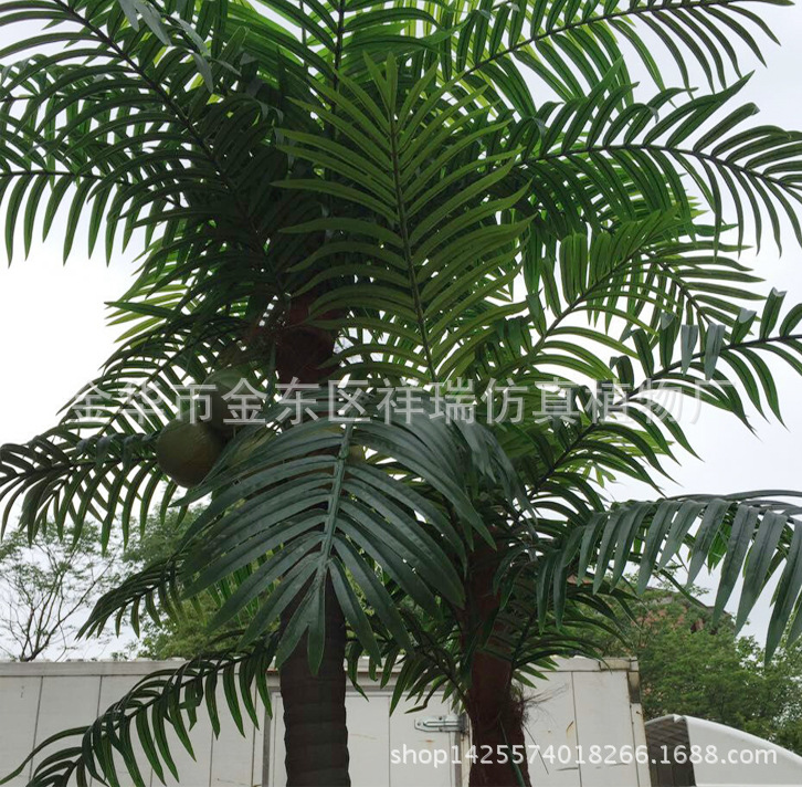 XRS-144 直杆组合椰子叶树1