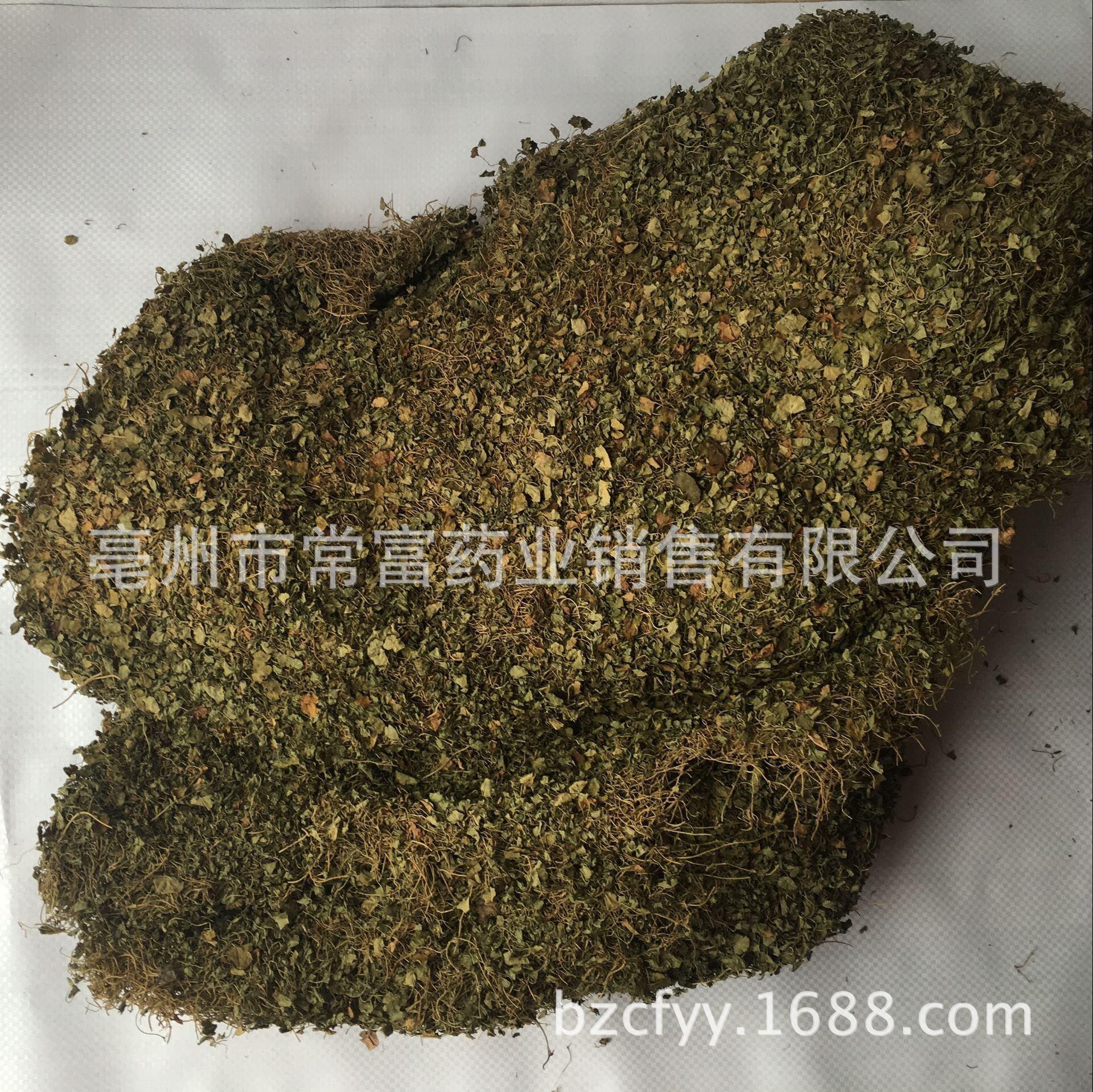 Dried Dichondra Herb Ma Ti Jin 500g Traditional Chinese Herbal Tea Ingredient specifications