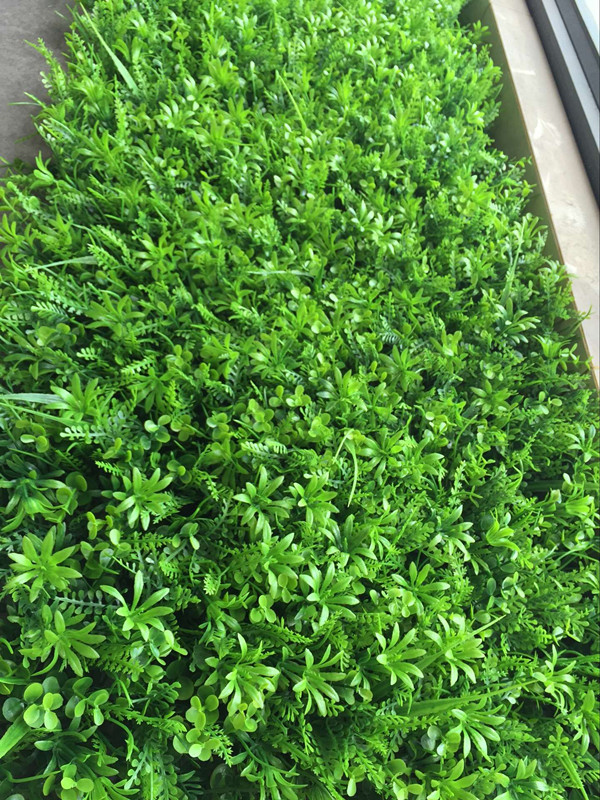 QQ图片20160707150129_副本