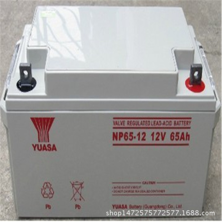 湯淺鉛酸蓄電池12V65AH