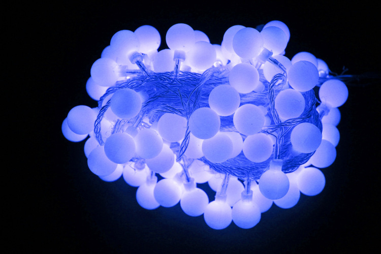 3306422022_651363634