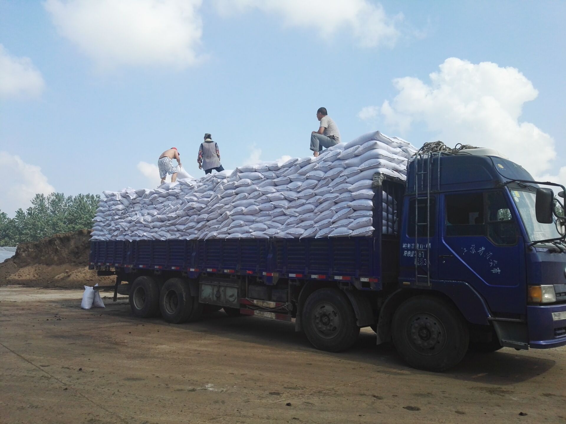 栽培基质_栽培基质 适合甜瓜、草莓无土栽培