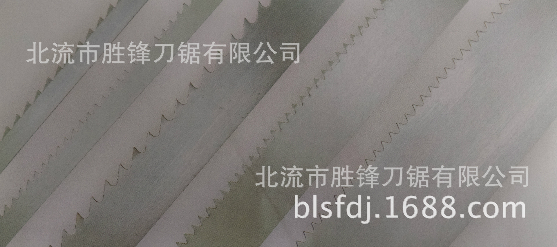 日本带锯条，海绵带锯   带锯切割