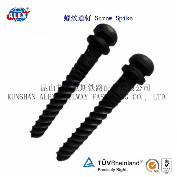 5.6级螺旋道钉定制加工厂家铁路道钉生产公司
