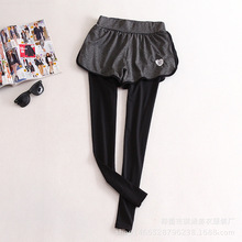 秋冬季羽毛球服女款九分裤裙裤羽毛球长裤透气