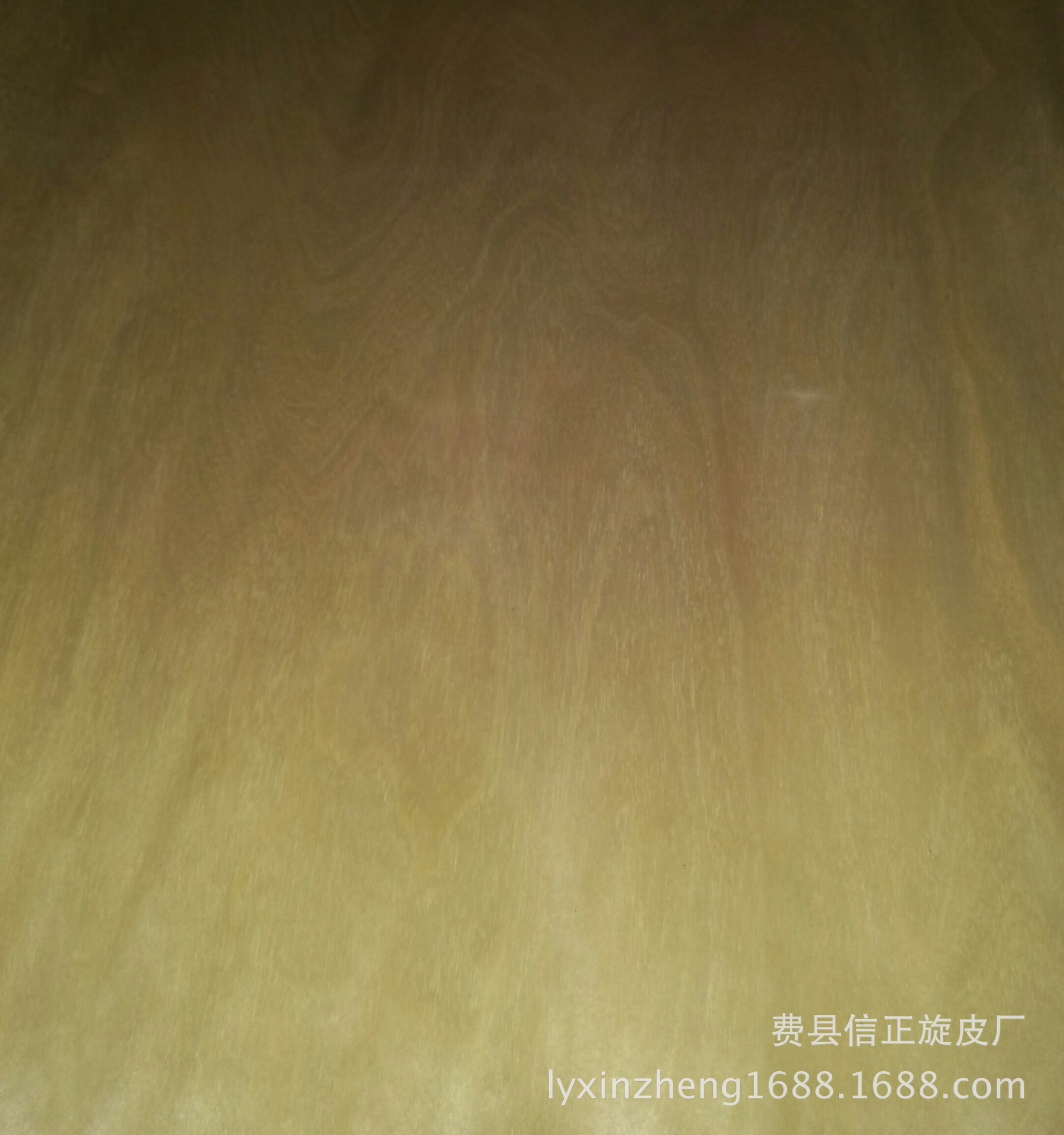 IMG_20160401_143716-1