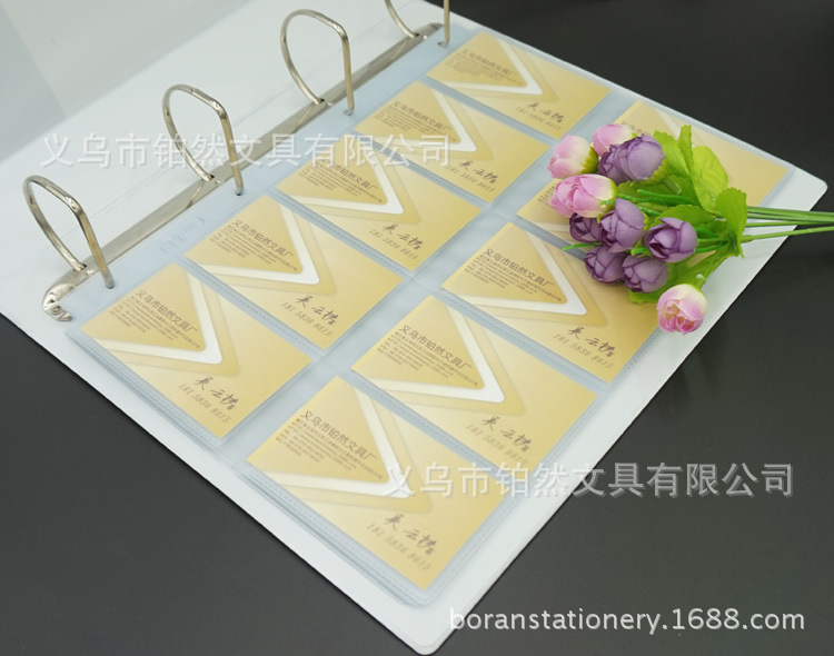 DSC02085