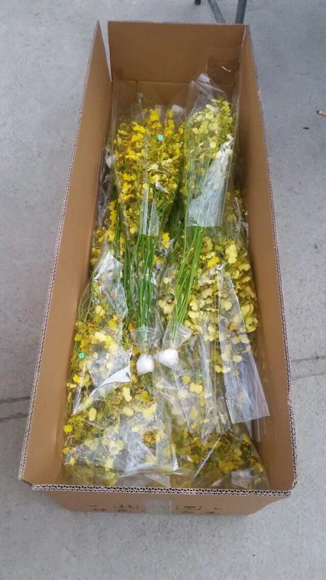 QQ图片20160728102404