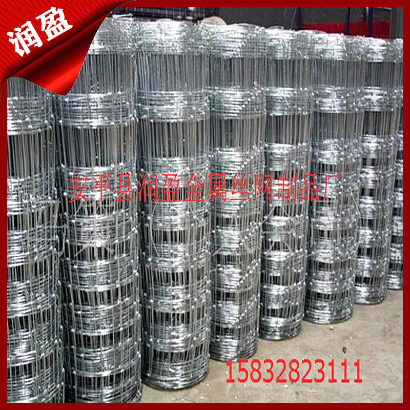 草原镀锌钢丝围栏网