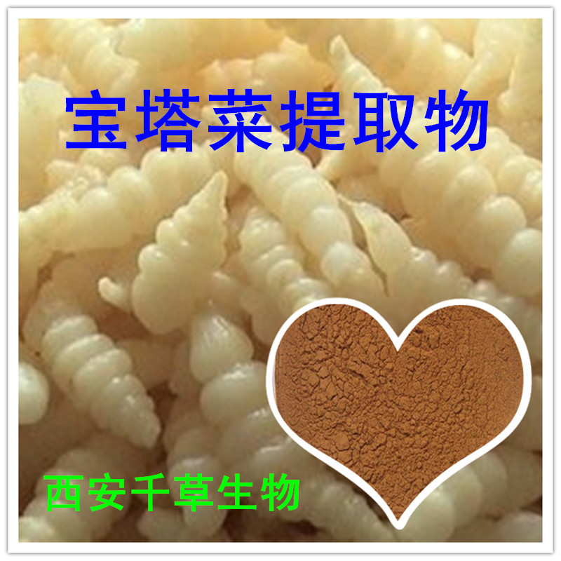 宝塔菜提取物