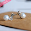 Earrings from pearl, zirconium, accessory, silver 925 sample