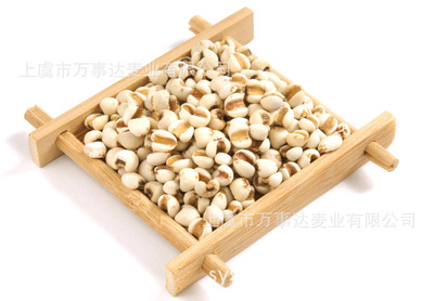 Coix seed powder Cooked barley flour SC Meal replacement powder Qualified Manufacturers supply