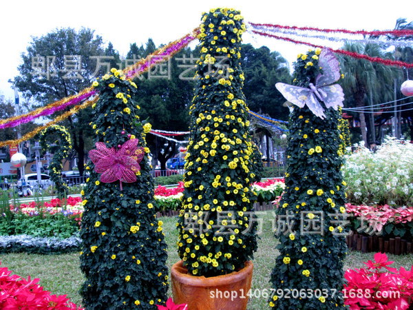 cm20141215___4a2db8809a25e0e62