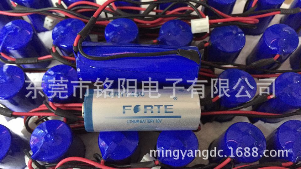 孚特FORTE CR17450锂锰电池3V水表电表仪表流量计RAM记忆PLC