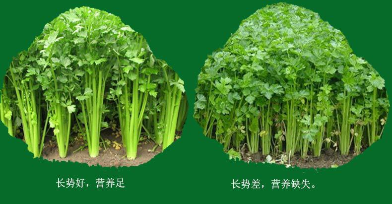 详情1_10