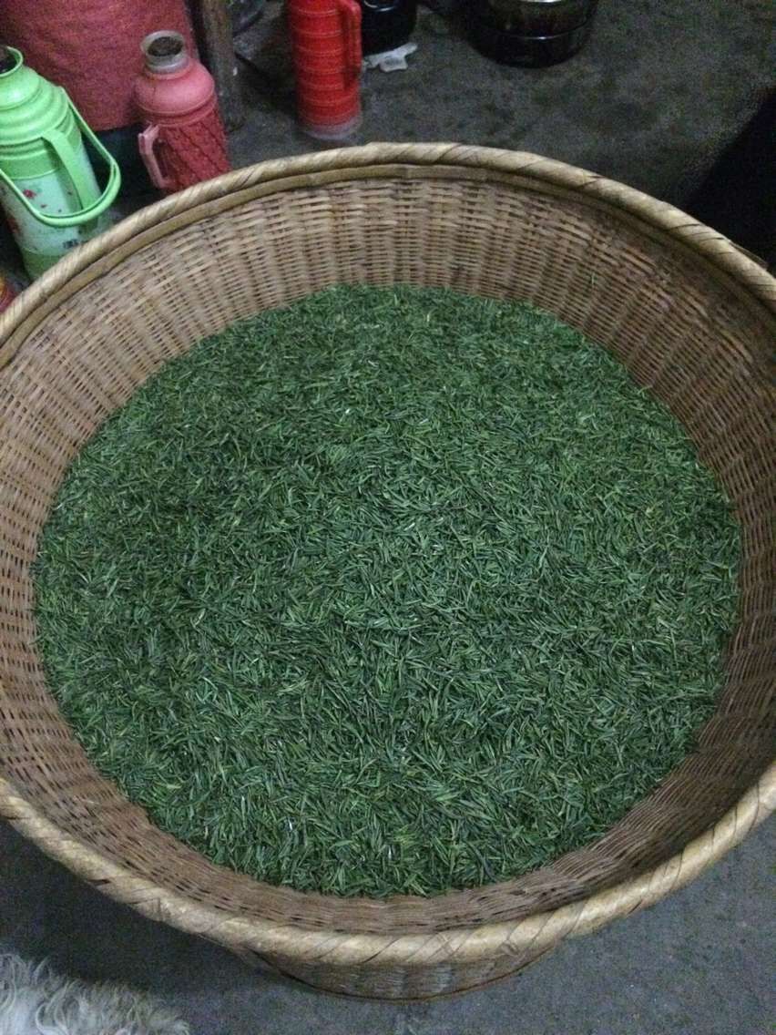 开化龙顶绿茶,开化龙顶新茶,开化龙顶明前茶