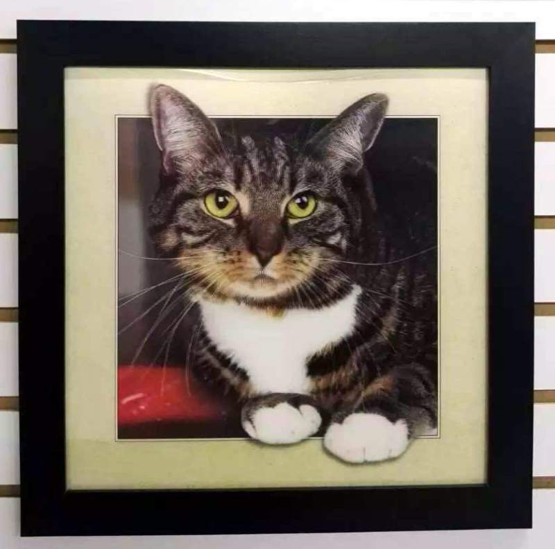 Factory direct wholesale 40*40 picture frame magic nano crystal painting 5D stereograph matching special