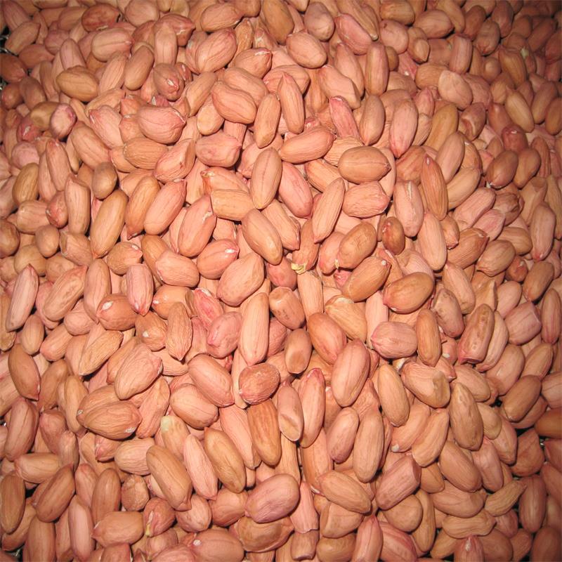 批发生花生米 批发生花生米