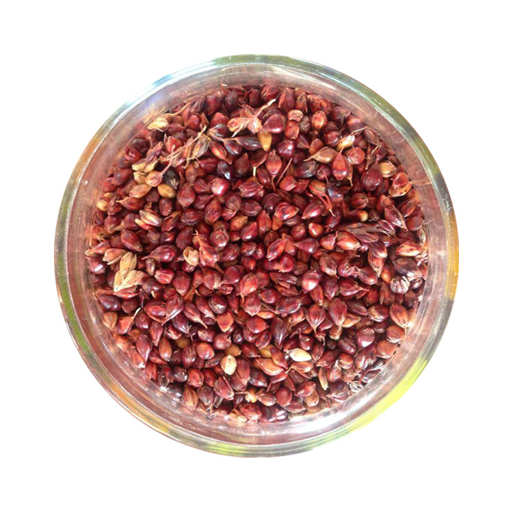 口斋虫子鸡蛋 鸡蛋批发 土特产鸡 蛋无菌鸡蛋 甘