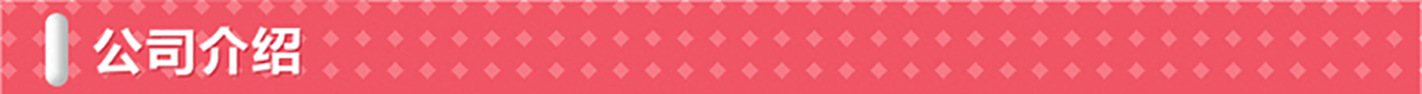 公司简介