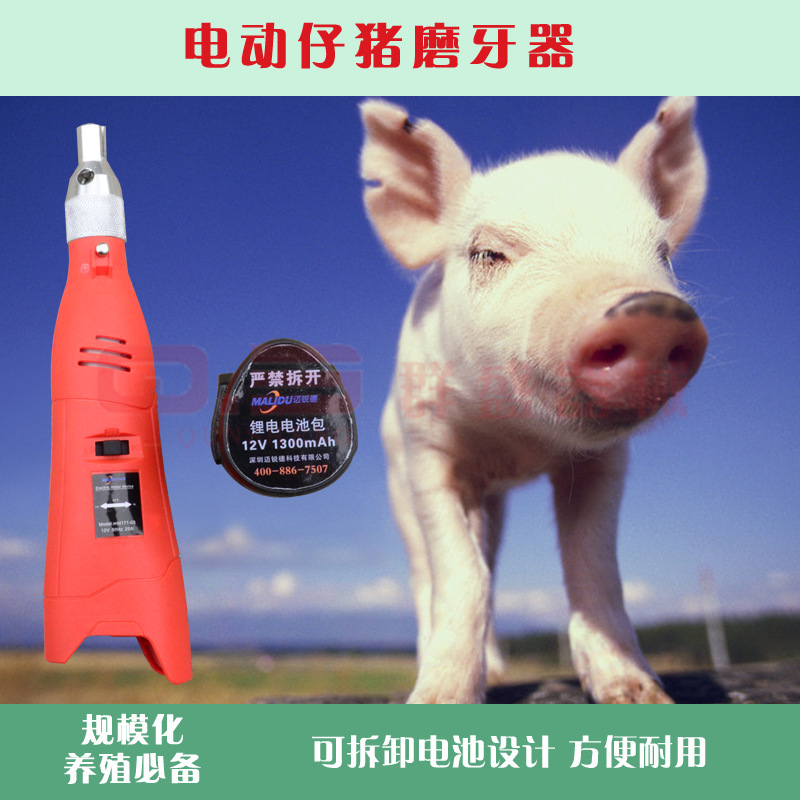 電動磨牙器 寵物磨牙養殖器械 獸用小豬仔去牙器 豬崽插電磨牙器