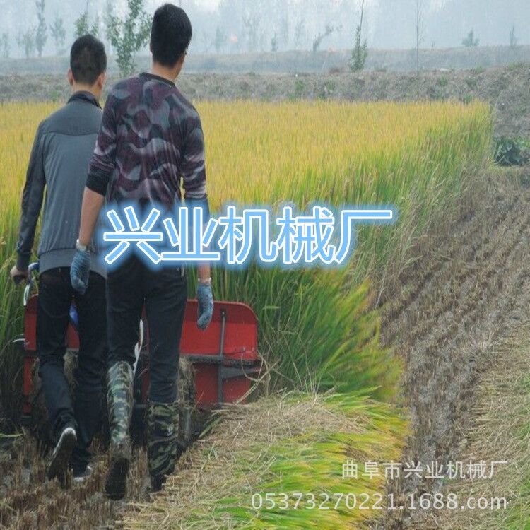 厂家直销玉米桔杆收割机 多功能辣椒收割机厂家