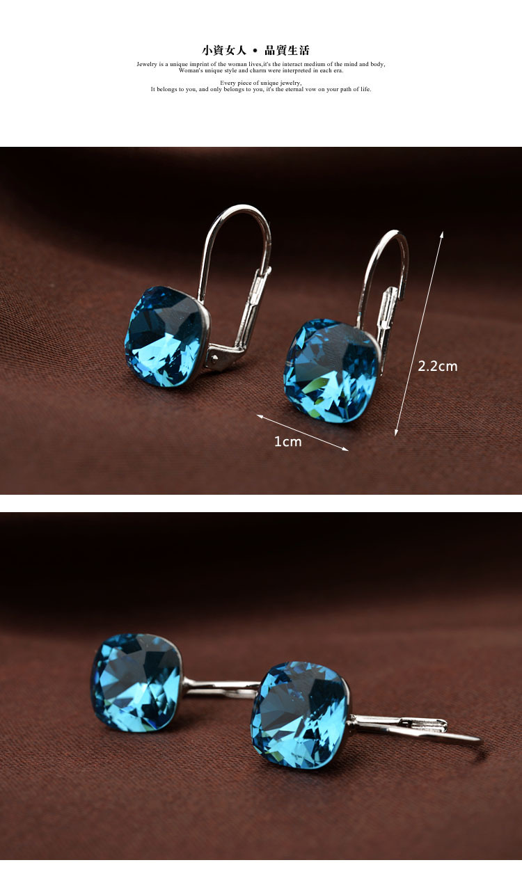 Europäische Und Amerikanische Mode Persönlichkeit Ohr Schnalle Klassisches Temperament Blaue Ohrringe Weibliche Einfache Lern Ohrringe 87213 display picture 2