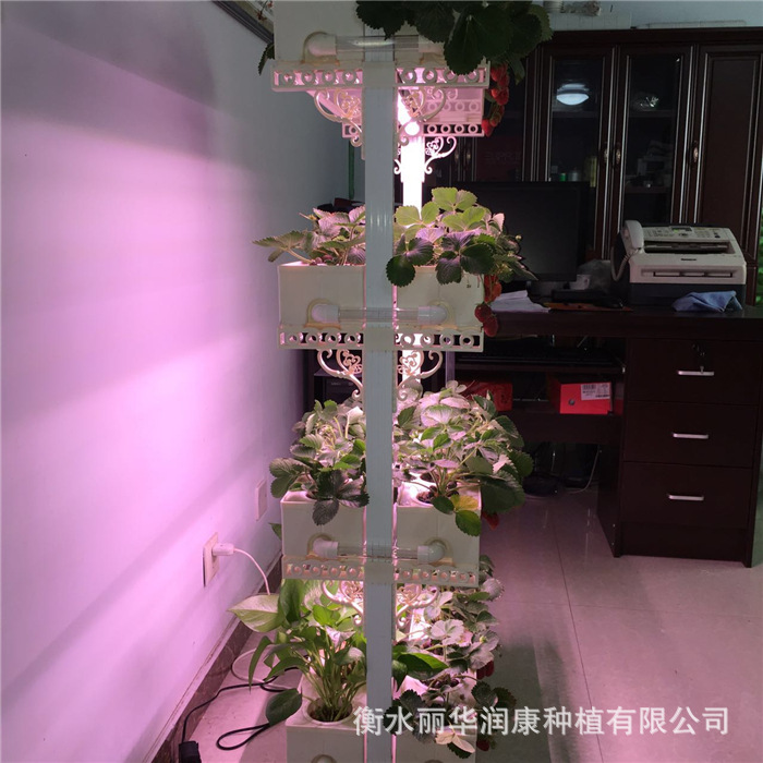 150550115733863558_副本