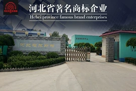 催干剂;羧酸盐;其他助剂