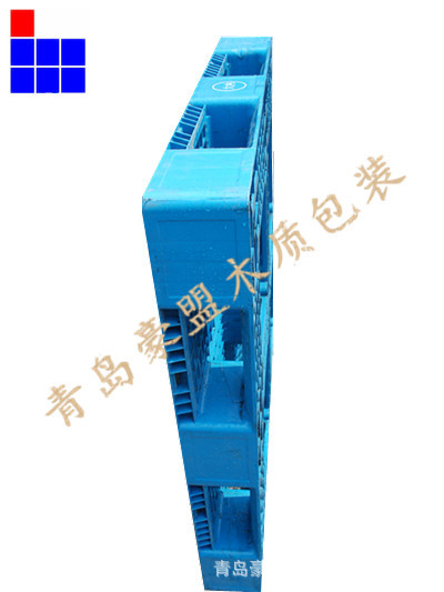 塑料托盘10