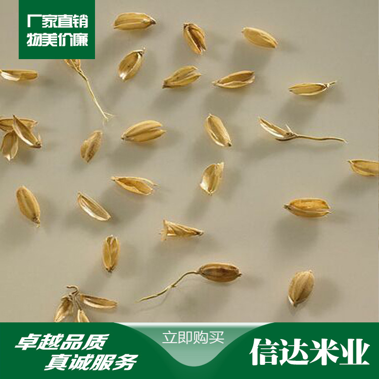 wps稻壳月卡_wps稻壳月卡供应商_wps稻壳月