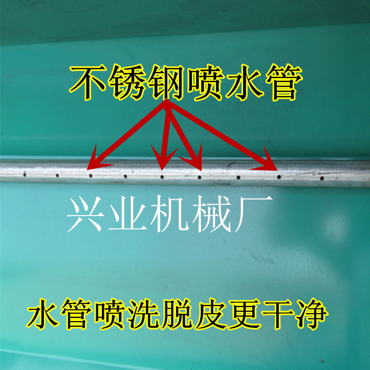 河北 山核桃剥皮机 核桃剥青皮机带刚刷清