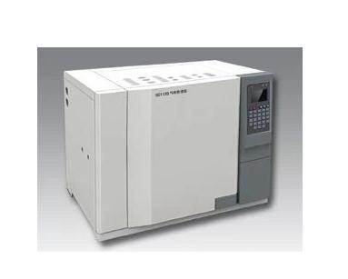Gas Chromatograph GC1120-6