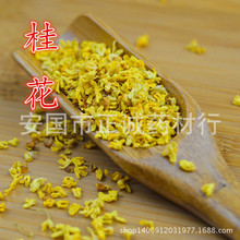 【正诚药业】中药材 花茶 桂花干 桂花茶  量大从优