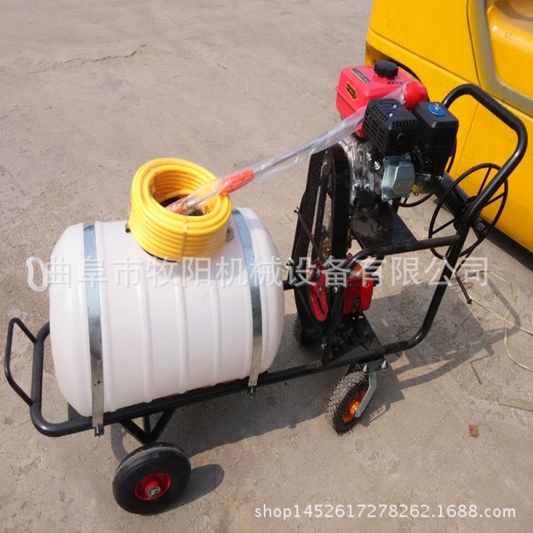 厂家直供背负式高压机动喷雾打药机