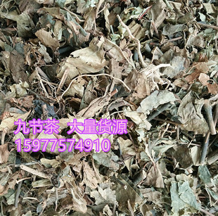 �ж��[���L �ӹ�ɏ  ��ɺ���Ź��L �Ź��� �ӹ�ɏ