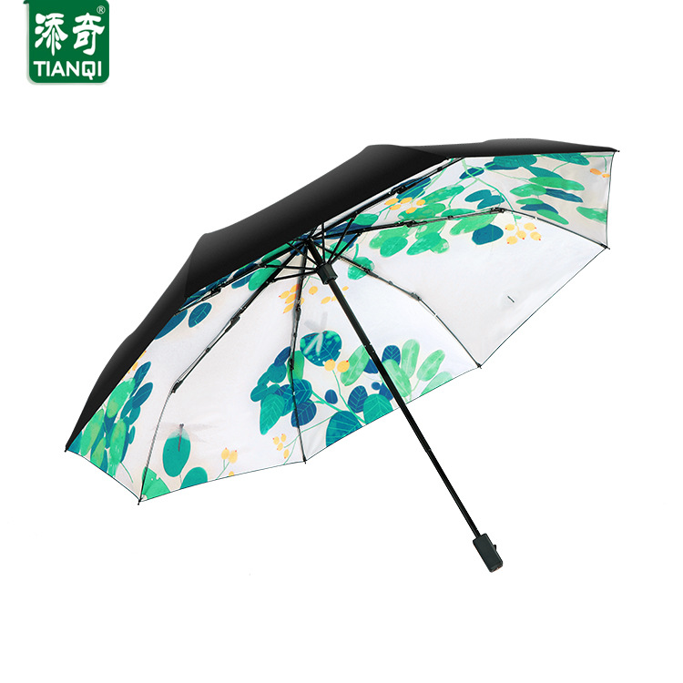 ̫ɡŮֵɡɹߺڽ۵ӡɡ