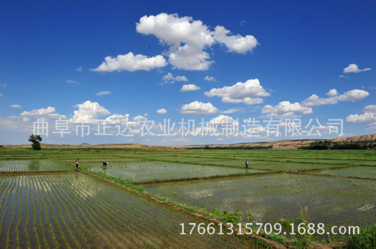 插禾机价格 安阳机动插秧机