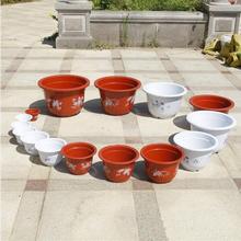 ���l�A�ΰ�ɫ�໨�yA�����ϻ���������бP �@ˇ���ܾGֲ��N����