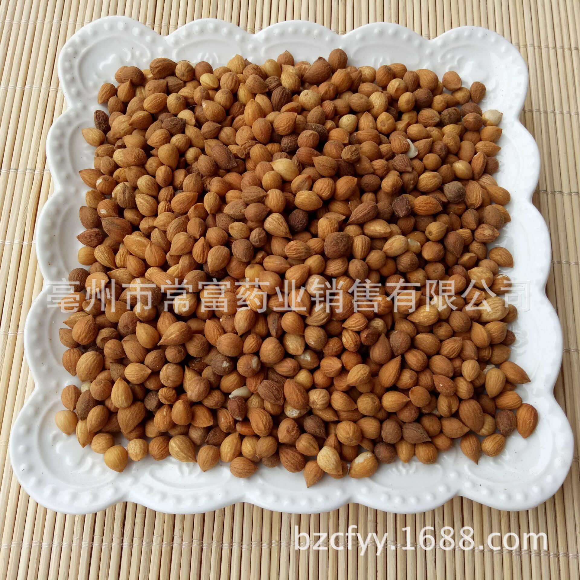 Chinese Bush Cherry Seed Yu Li Ren Prunus humilis Dried Herbal Seeds 500g for Culinary and Decoction Use preparation