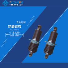 厂家供应穿墙塑料CWB-10KV(2000-4000)A 穿墙套管 高压穿墙套管