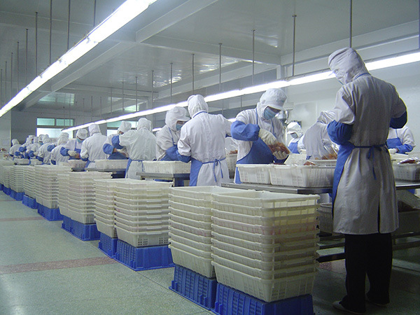 20100305095259531119