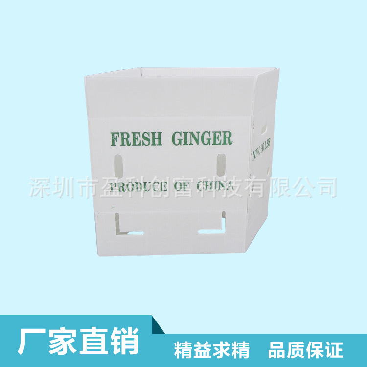 塑料白色中空板包裝箱