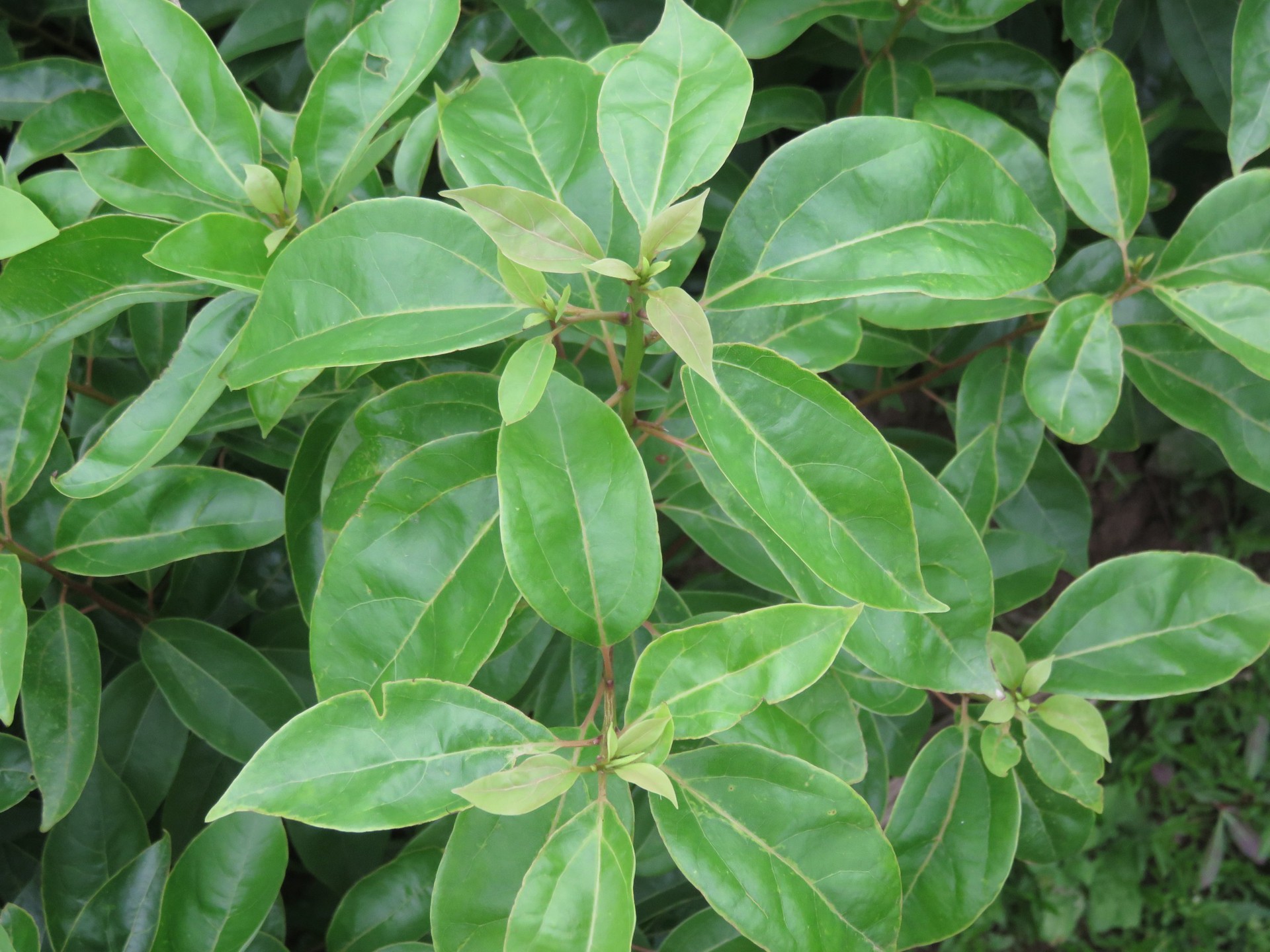 e38ce886904107cefba75f8c142c3e